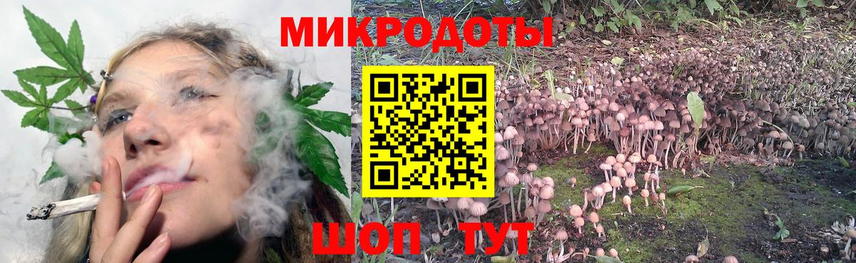 Галлюциногенные грибы прущие грибы Советский